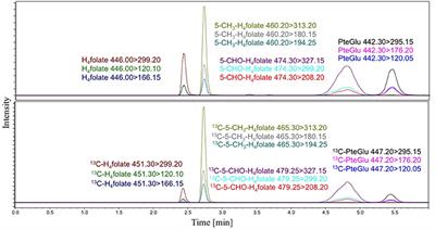 Improved Stable Isotope Dilution Assay for Dietary Folates Using LC-MS/MS and Its Application to Strawberries